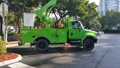 Tree Service and Shrub Care in Oakland Park, FL - Bartlett