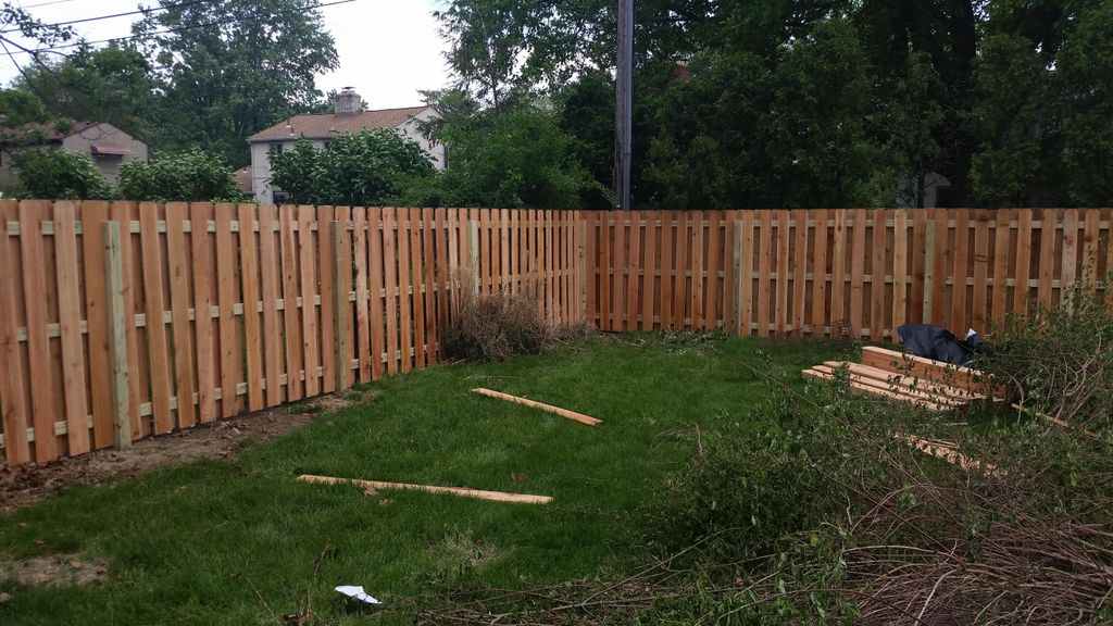 6' Cedar Shadowboard