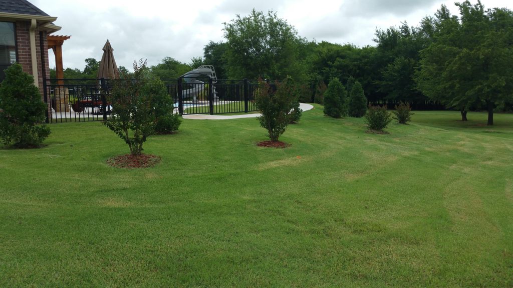 Sod and fence by M&V General Construction