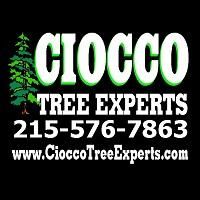 Ciocco Tree Experts