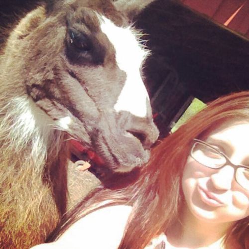 My picture with the Llama, Cassidy!