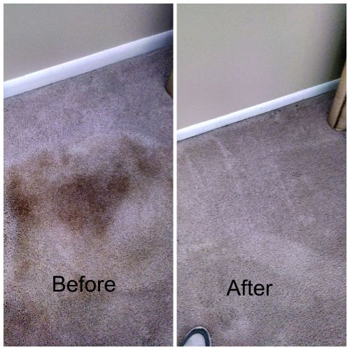 Condo Carpet before and after