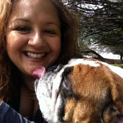 green bulldog dog wash and spa