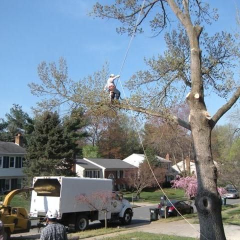 Coon's Tree Service
