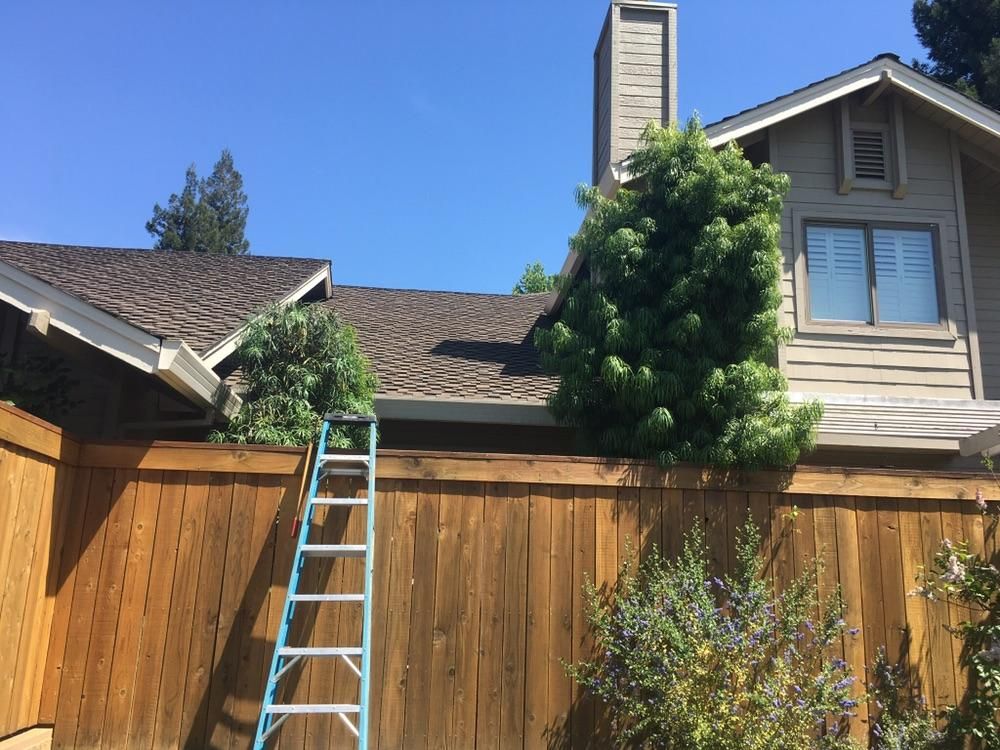 Both trees started out this size 