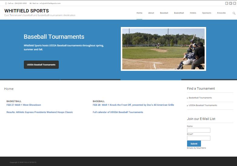 website and social media management
