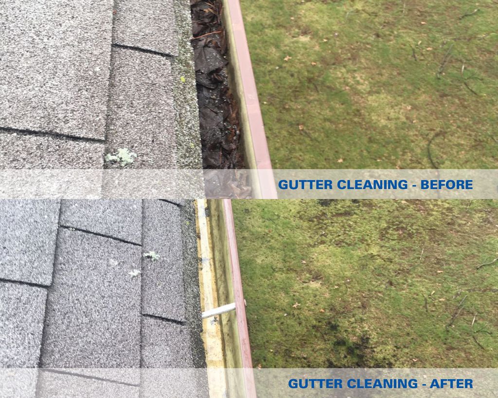 Gutter Cleaning