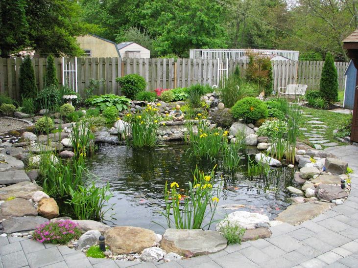 Ecosystem Pond