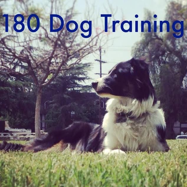 180 Dog Training