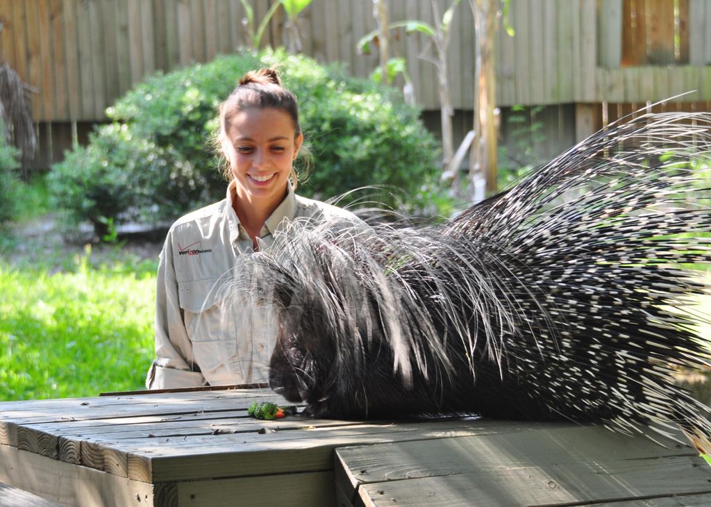 I even have experience training animals like this 