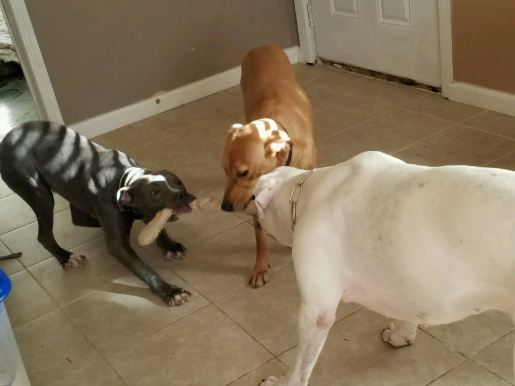 Mine.. Mine.. Mine..
Sharing is caring  LoL :)