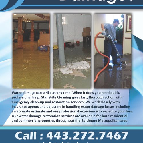 Flood? Water Damage? Mold Removal