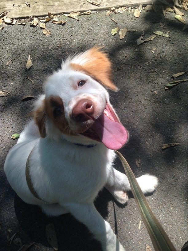 Look at that happy smile! Ask me how much I enjoye