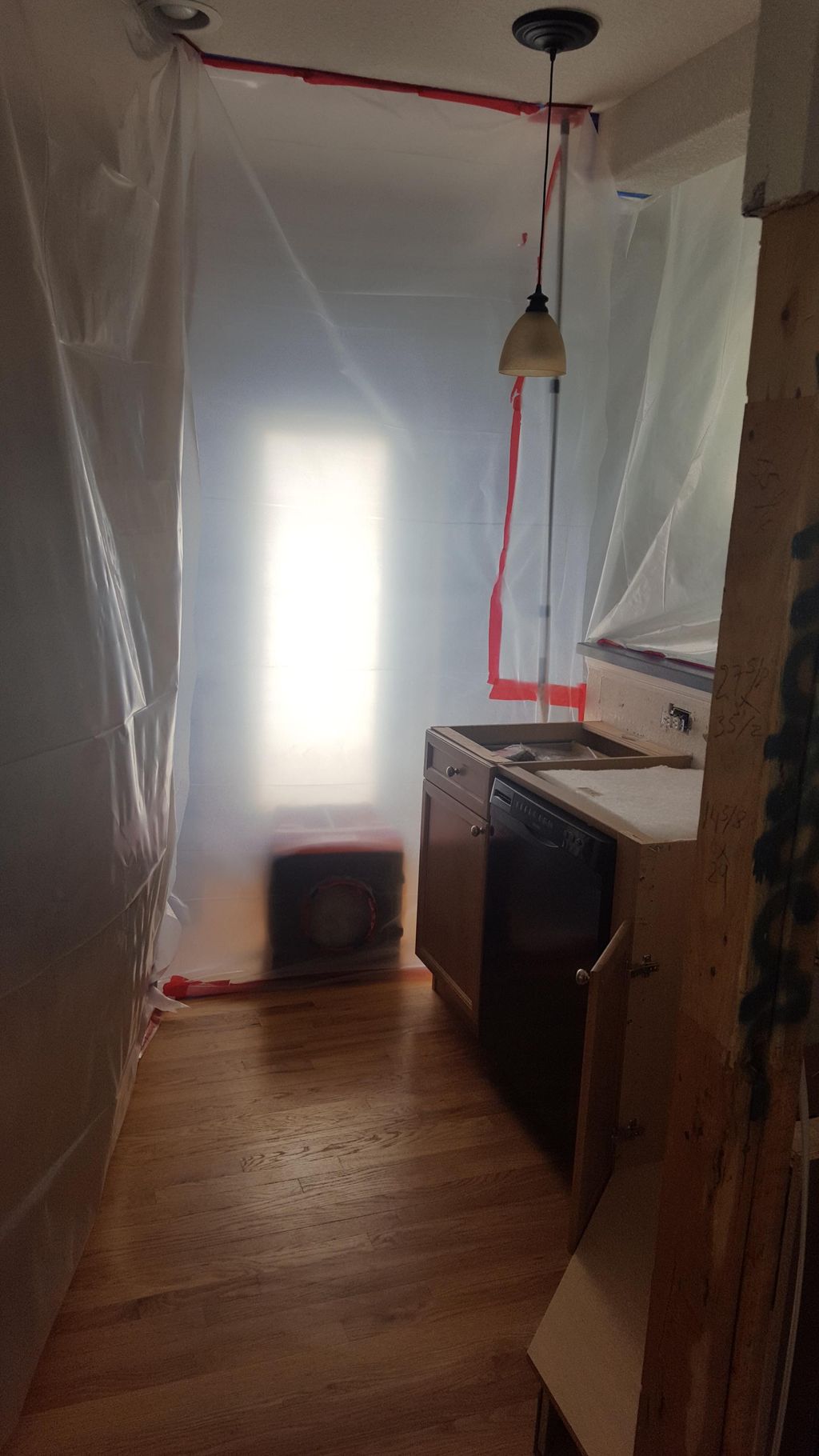 Kitchen Mold Mitigation 