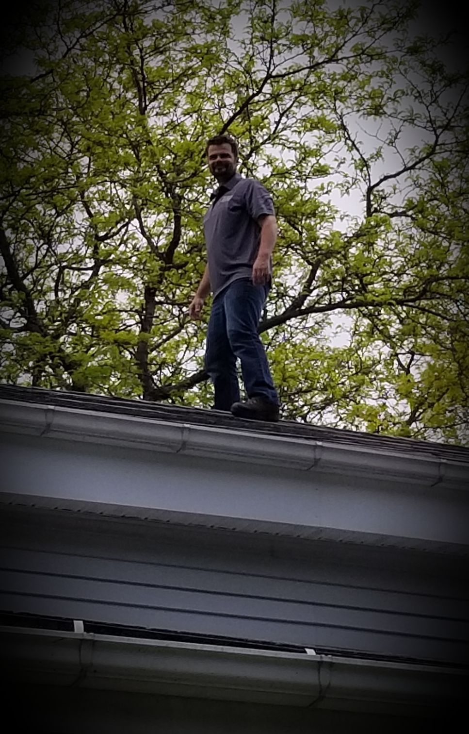 The Bearded Carpenter LLC