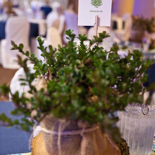 The centerpiece of each table held a native plant 