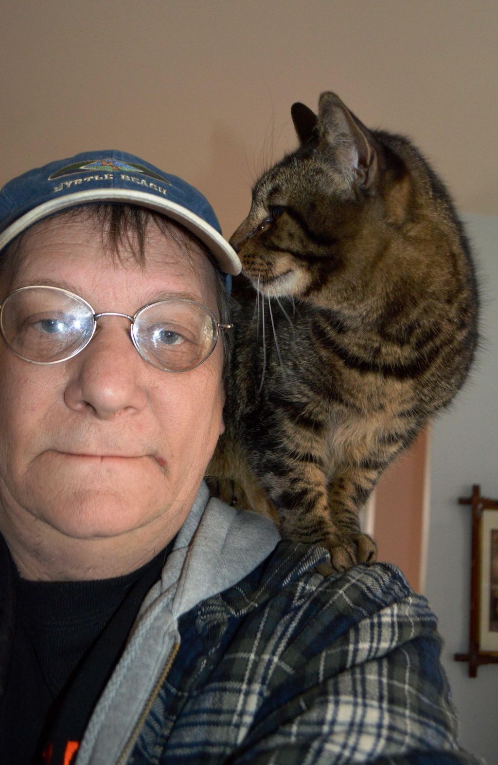 Pet Sitting Cats, Dogs, Small Animals and Birds - 