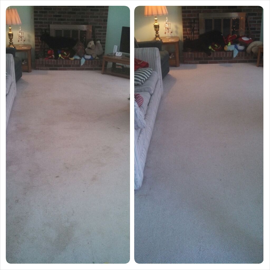 eco-friendly carpet cleaning
