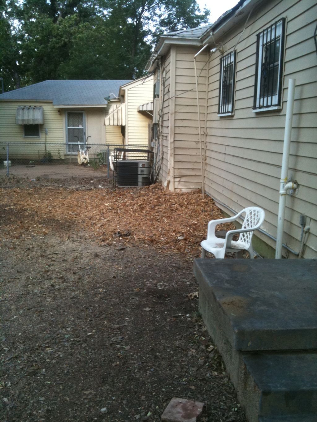 This is the completed tree removal including the s