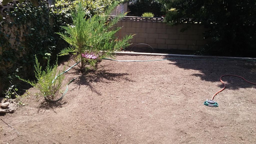 About 200 square feet I hand pulled the weeds.