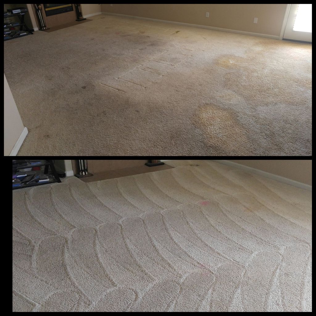 spot pros carpet cleaning