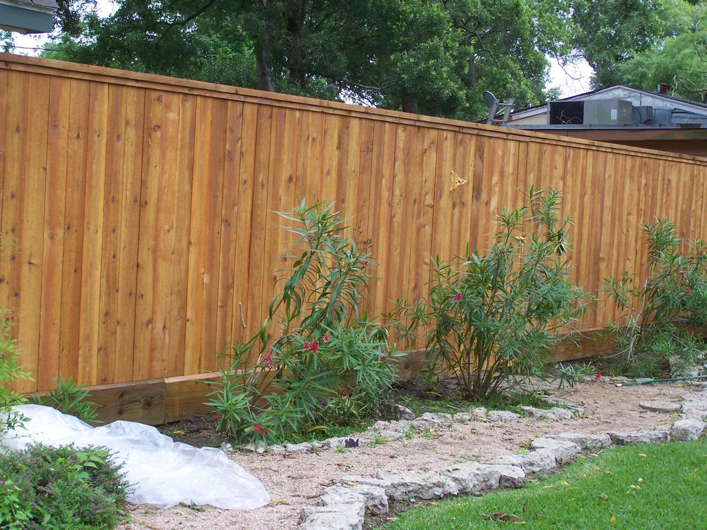 7Ft tall cedar fence with cedar cap and trim