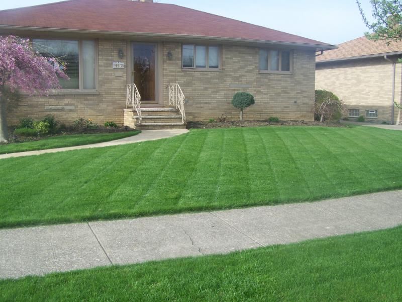 Straight Lines