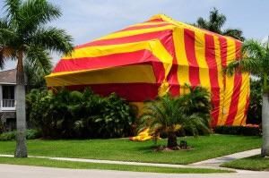 Tent fumigation for the elimination of dry wood te