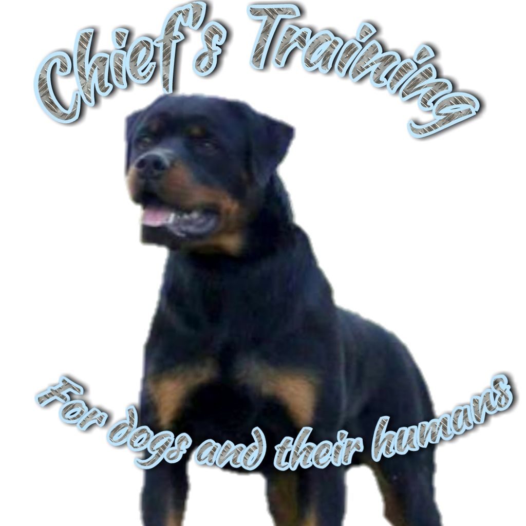For puppies, and beginners,  Under the age of 6mth