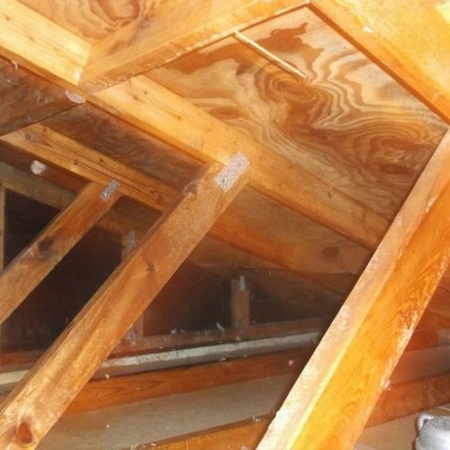 Attic Mold Remediation After