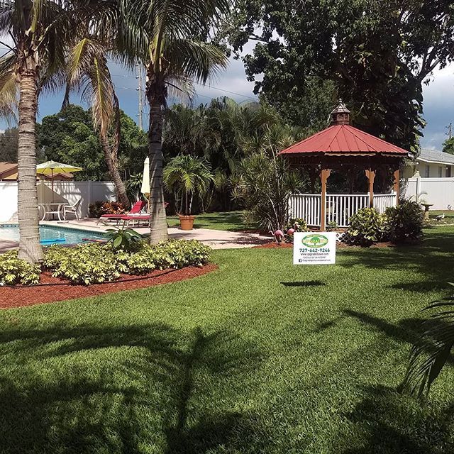 Another beautiful lawn, serviced by Upgraded Profe