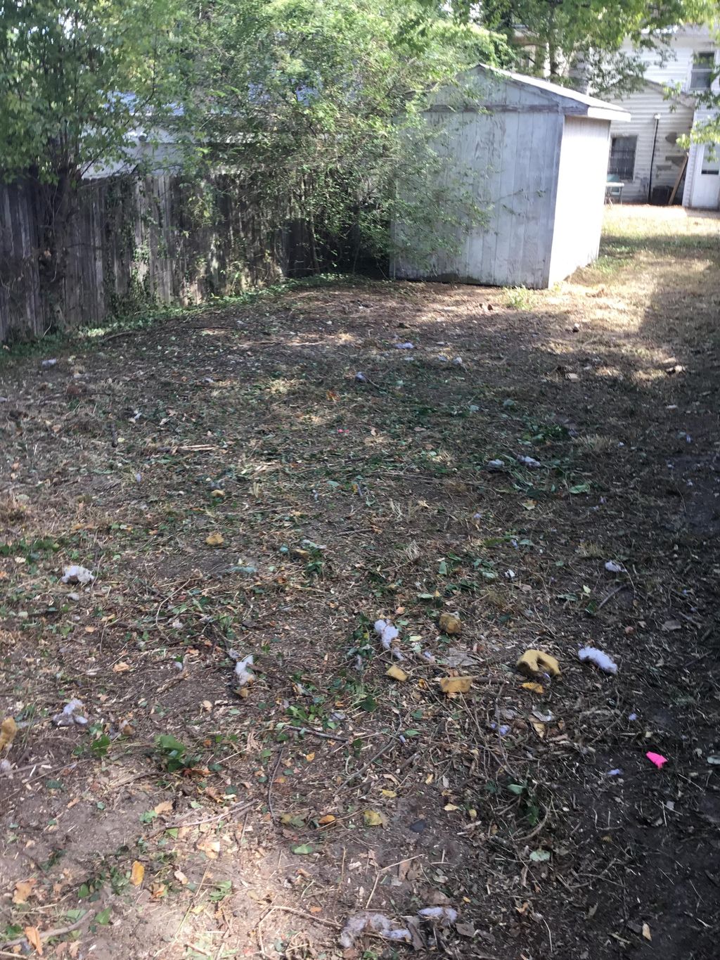 After trash removal 