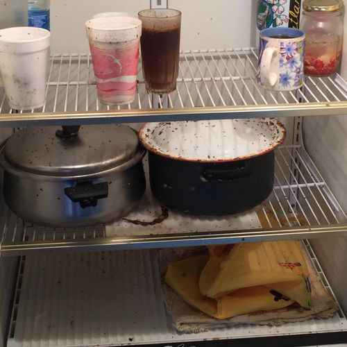 This is what this refrigerator looked like BEFORE 