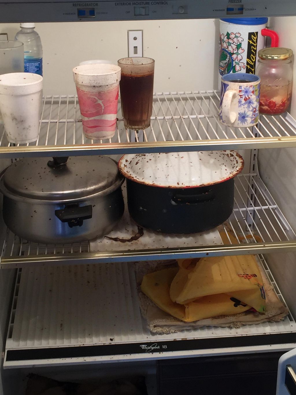 This is what this refrigerator looked like BEFORE 