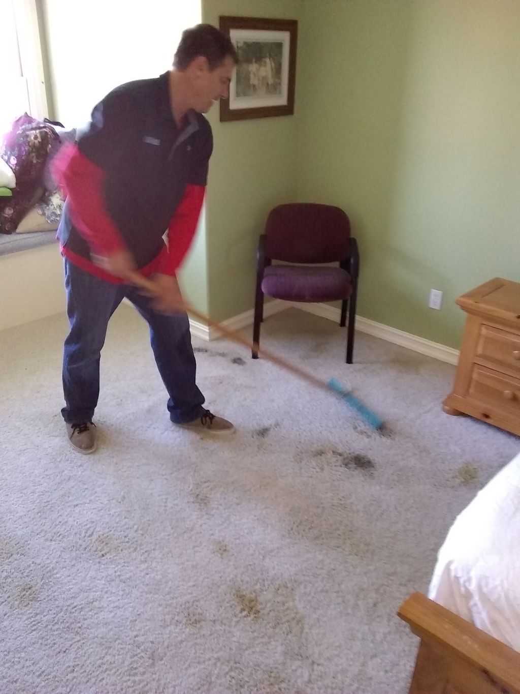 after applying pre spray I brush the carpet to ass