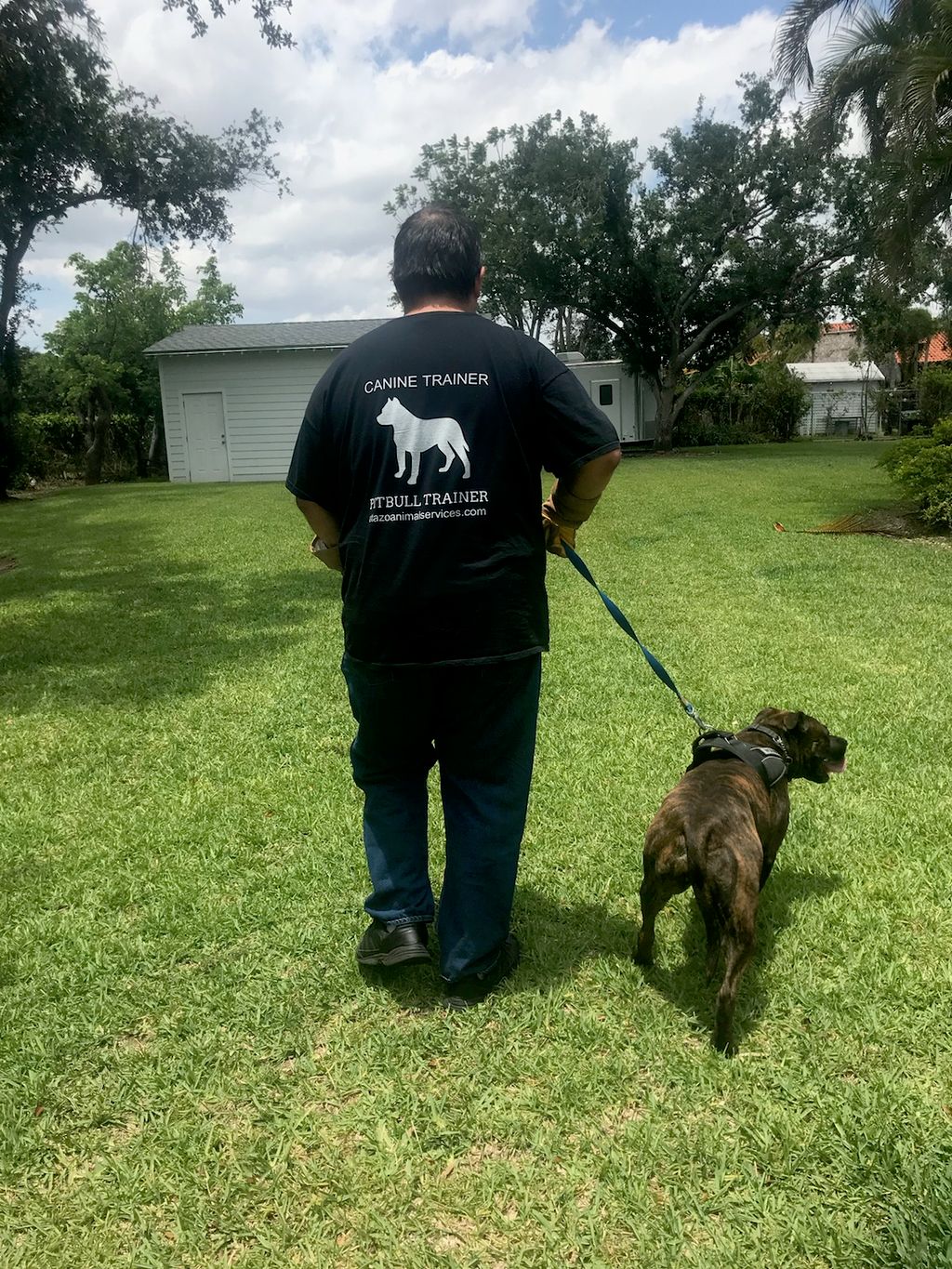 Professional Aggressive Animal Rehabilitation  