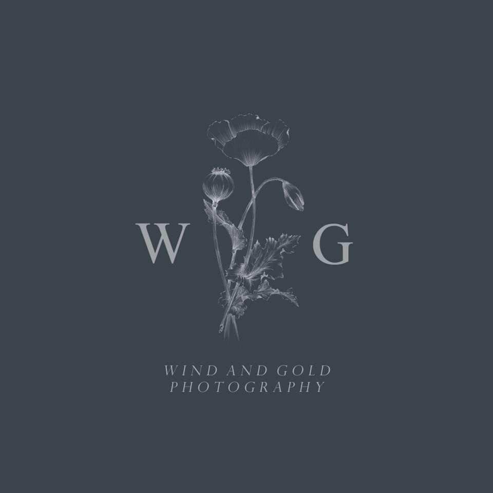 Wind and Gold Photography
