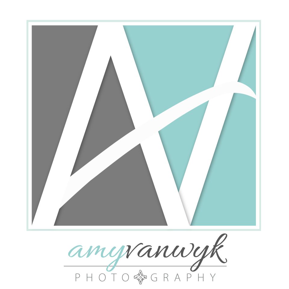 Amy Vanwyk Photography, LLC