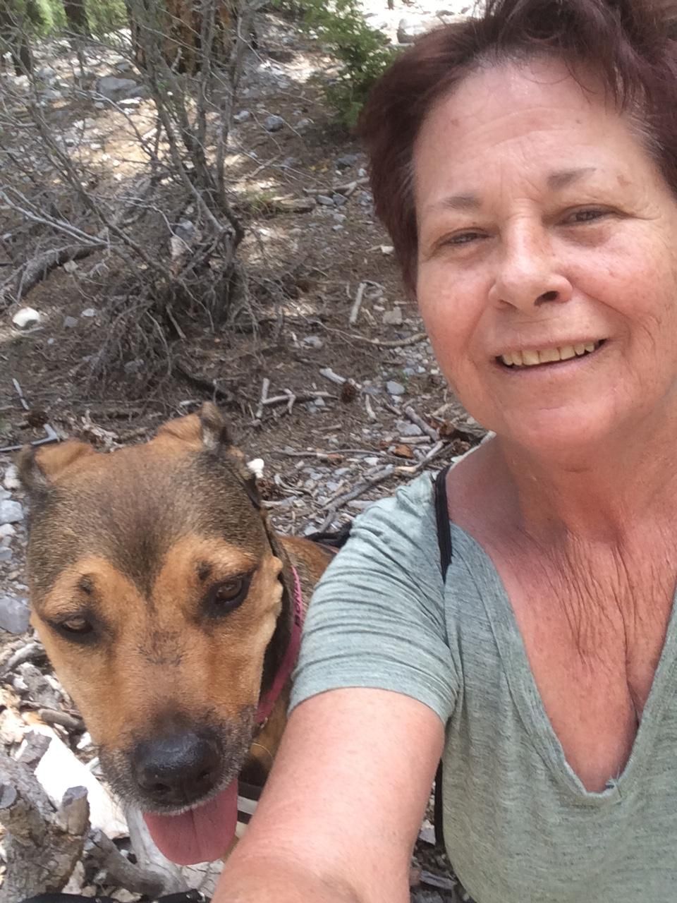 A hike at Mt. Charleston
