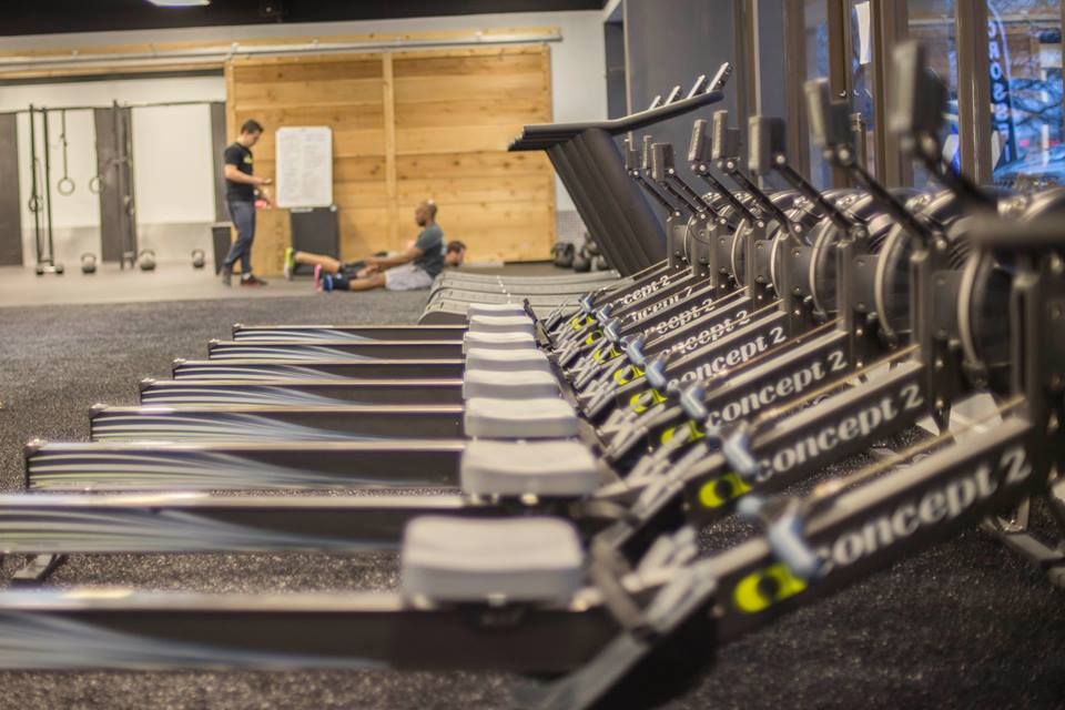 Rowers and Trueform Treadmills