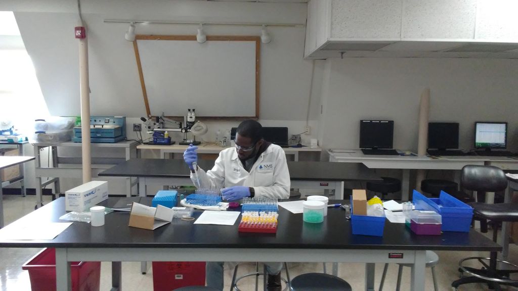 Performing Research in the Laboratory