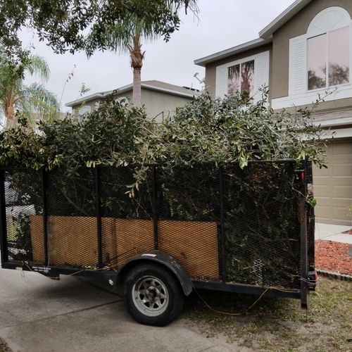 Hauling waste from trimming job