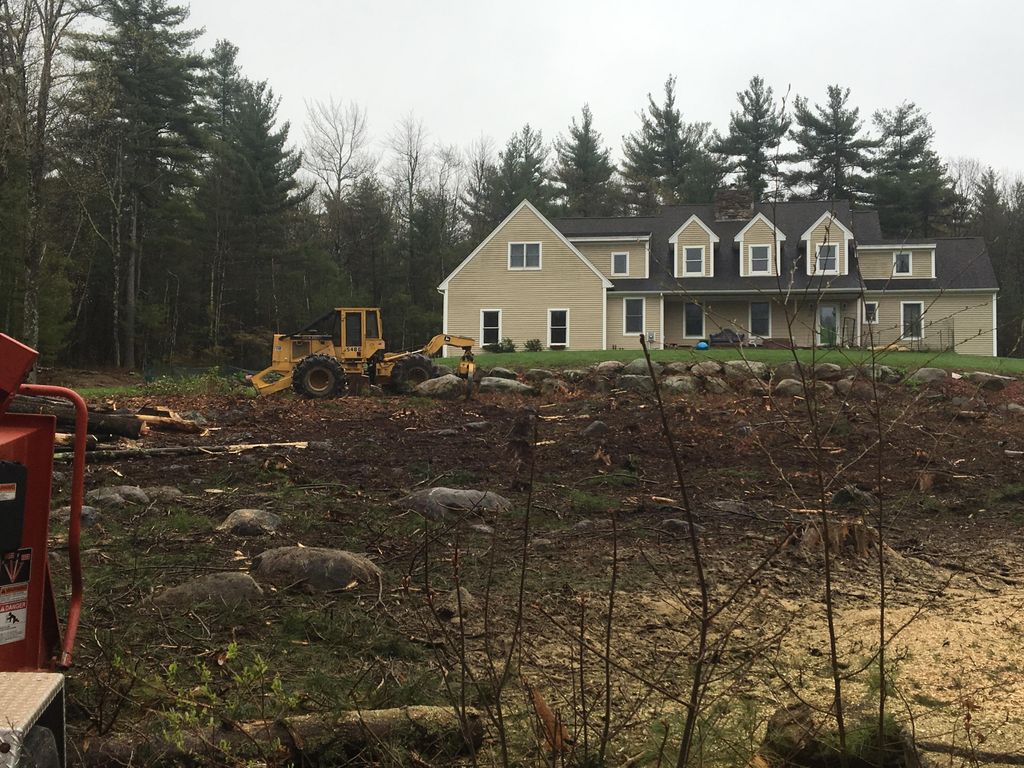 Land clearing for yard expansion