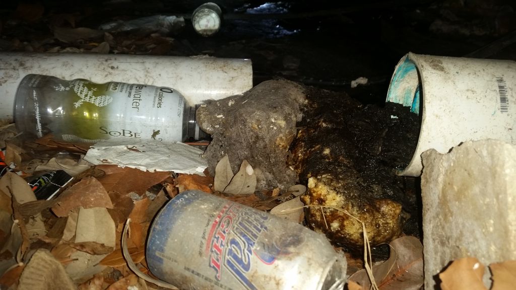 Crawl space busted sewage pipe. Yeah I know nasty 
