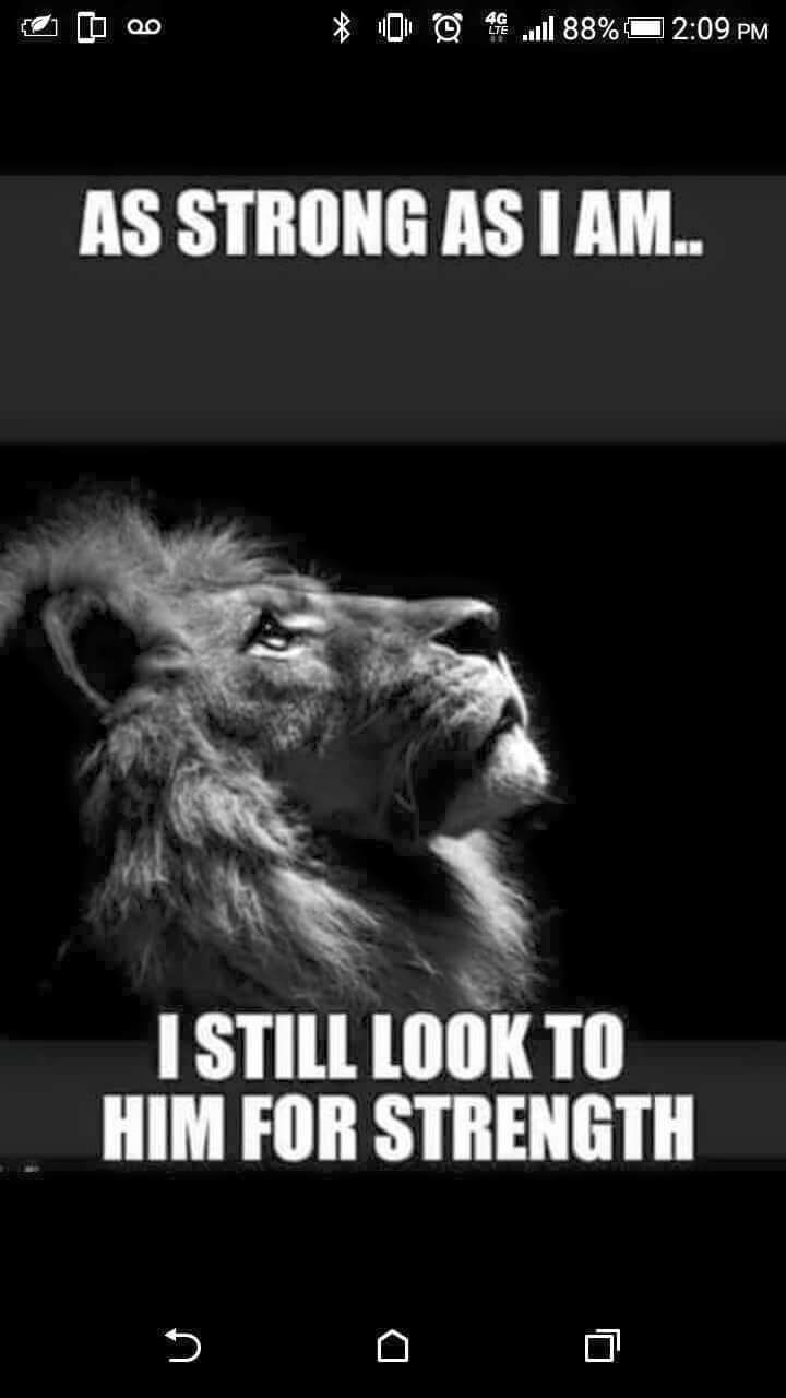 Quick and easy moving