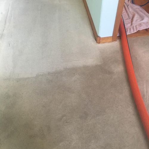 Before and after, The best carpet cleaners in Salt