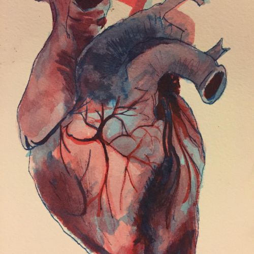 Anatomic heart painting on 100% cotton rag