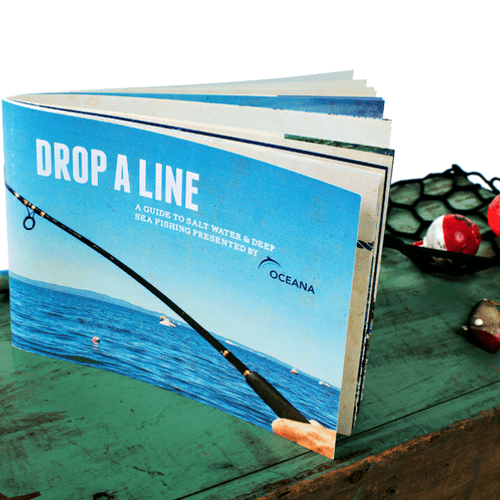 Drop A Line - 48 page publication