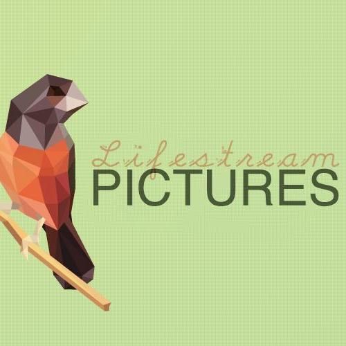 LifeStream Pictures
