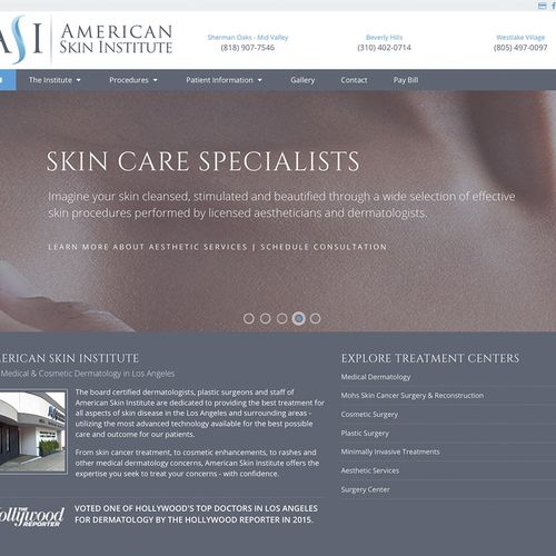 American Skin Institute Website